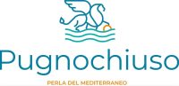 immagine logo